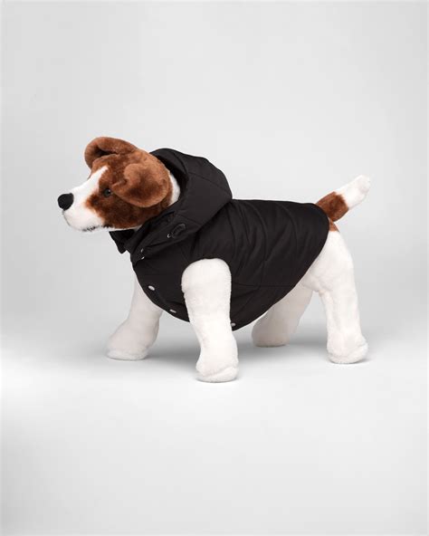 prada dog coat|Prada winter coats for women.